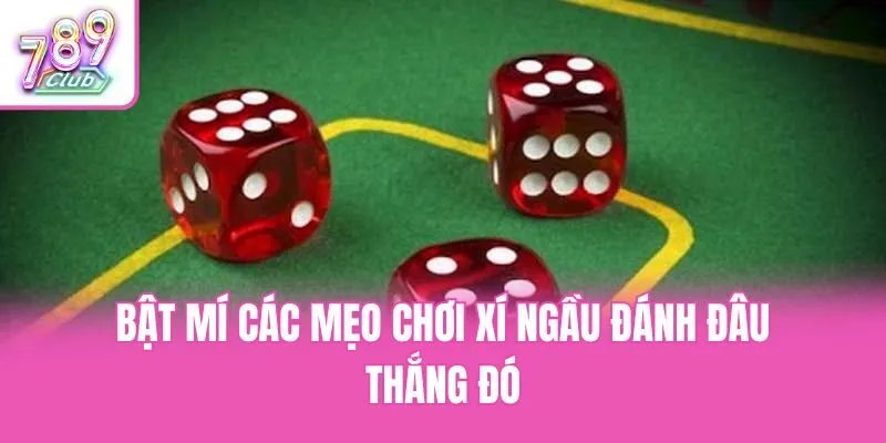 Bật mí các mẹo chơi xí ngầu đánh đâu thắng đó
