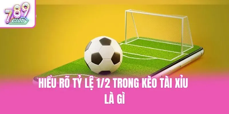 Hiểu rõ tỷ lệ 1/2 trong kèo tài xỉu là gì